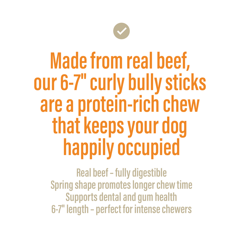 Bully Spring Chews for Dogs 6-7 Inch 6 Count Natural Beef Treats-2