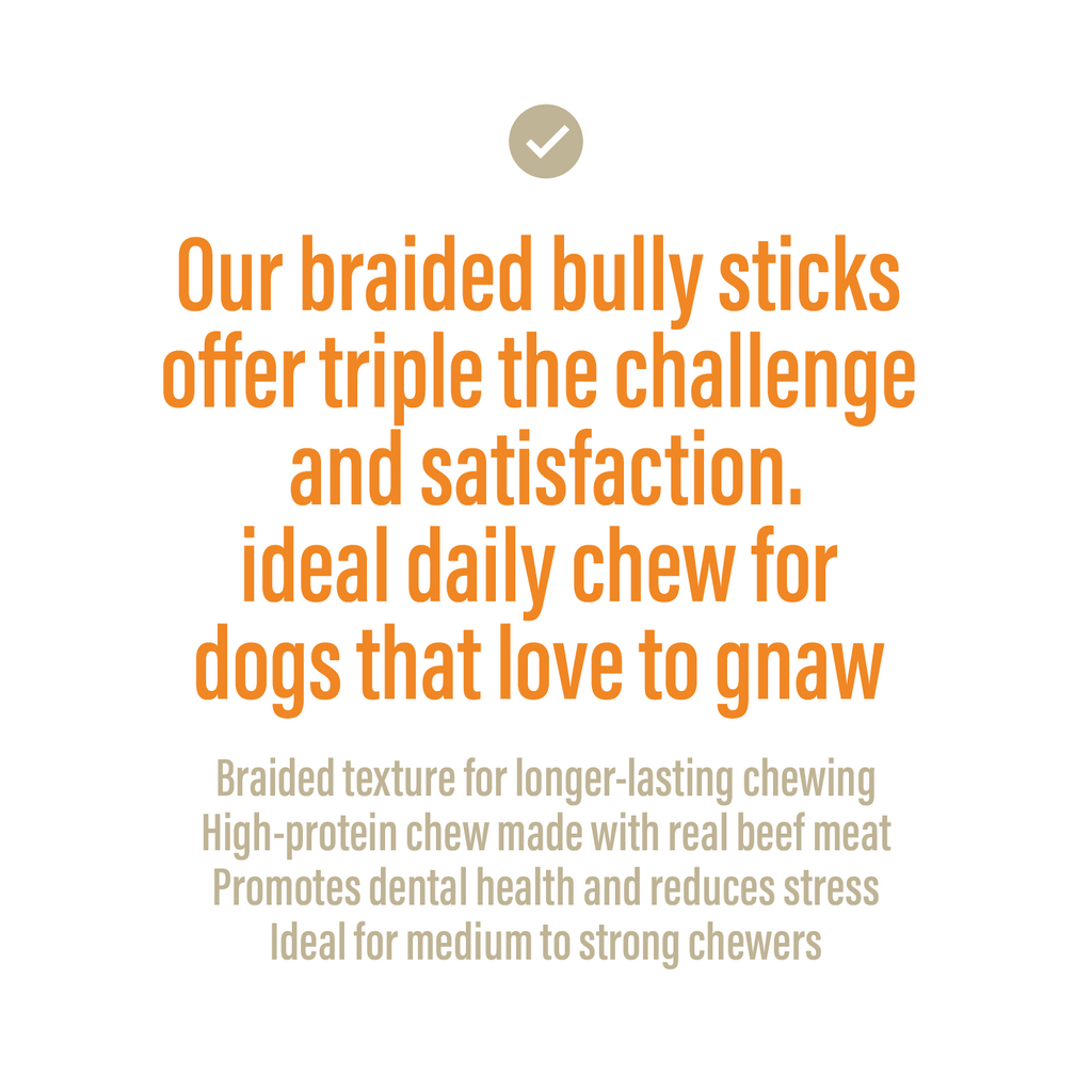 Braided Bully Sticks for Dogs – 5-6" (3 Count)-2