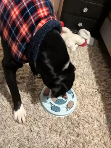 Interactive Slow Feeder Puzzle Toy for Dogs and Cats IQ Training-1