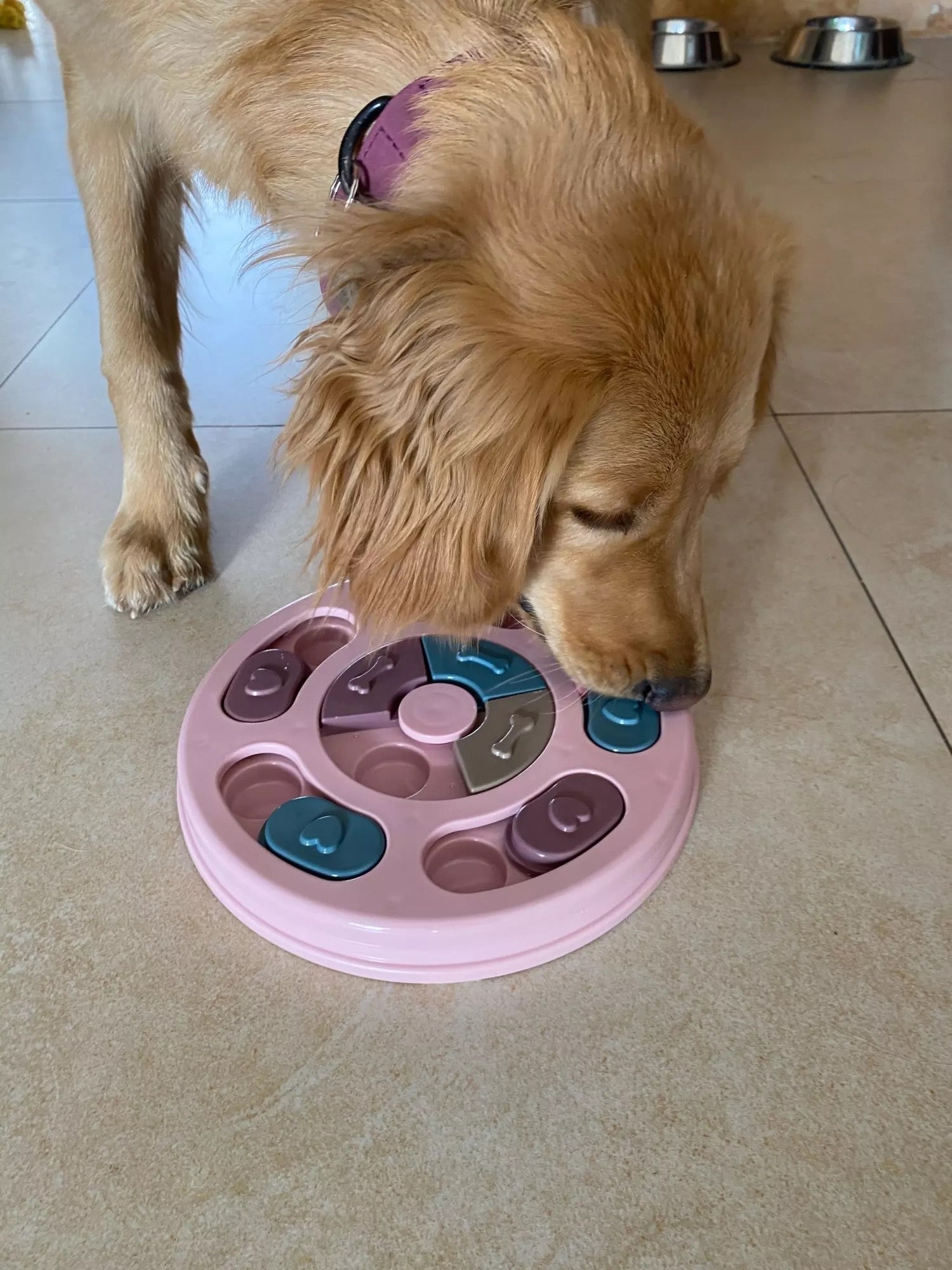 Interactive Slow Feeder Puzzle Toy for Dogs and Cats IQ Training-4
