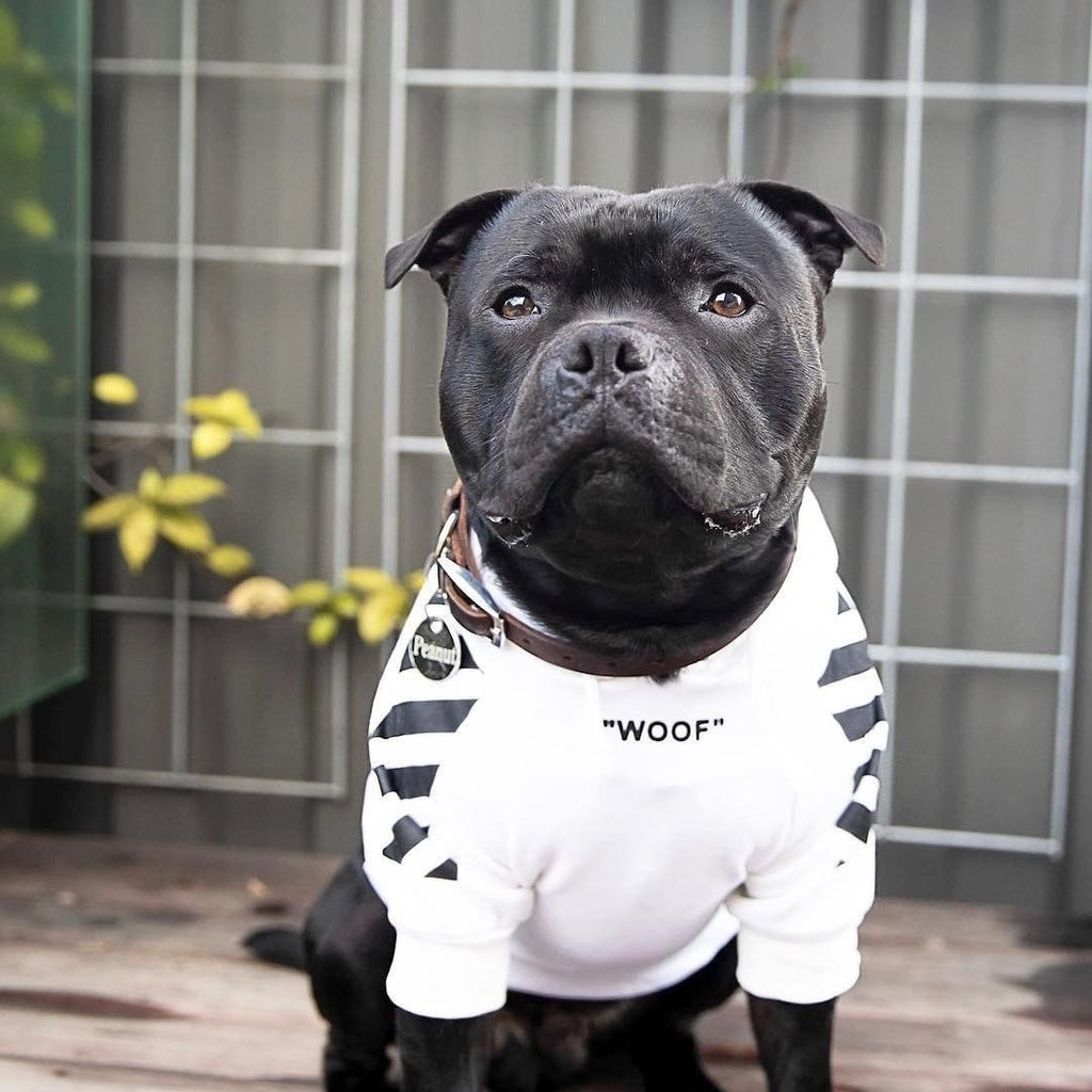 Street Stripe Hooded Dog Sweatshirt