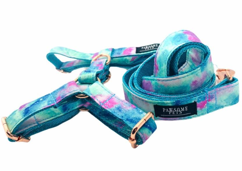 Step In Bundle Sky 2 Pieces Blue Purple Rope Leash Set-3
