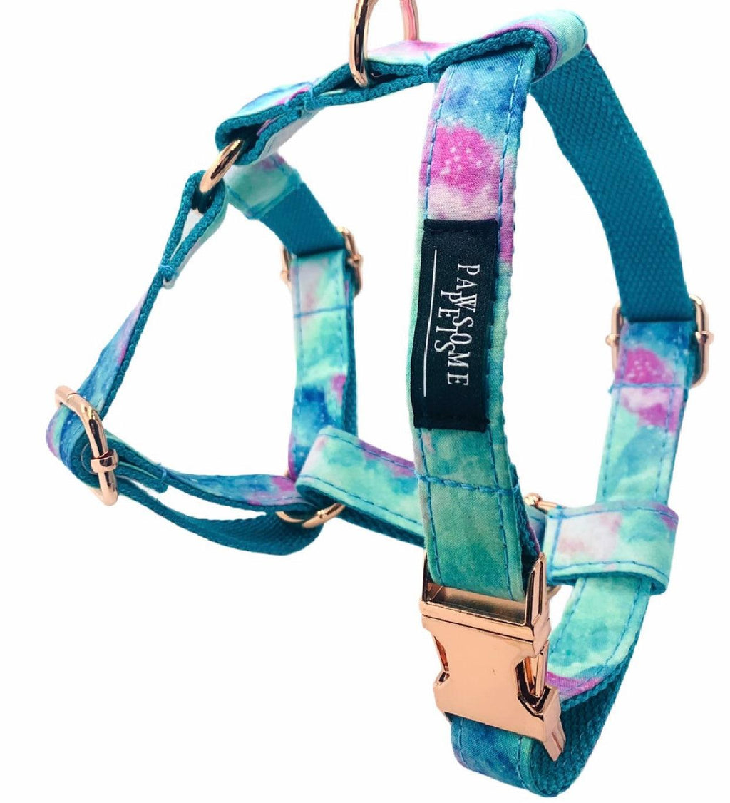 Step In Bundle Sky 2 Pieces Blue Purple Rope Leash Set-2