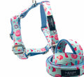 STEP IN BUNDLE Donut Bonut 2Pcs Durable Dog Harness Leash Set-0