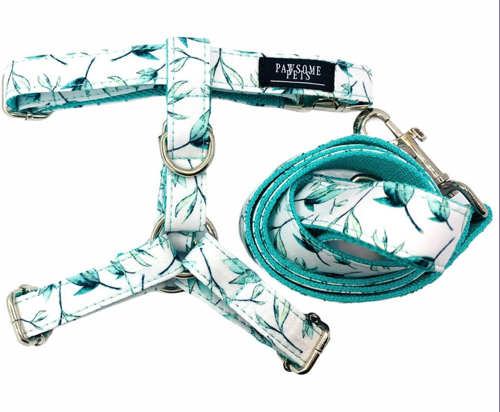 Step In Bundle Mint Leaf 2 Pieces Dog Harness and Leash Set-4
