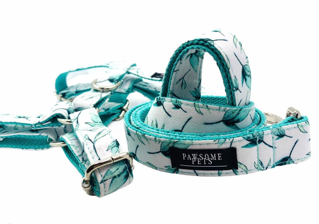 Step In Bundle Mint Leaf 2 Pieces Dog Harness and Leash Set-3