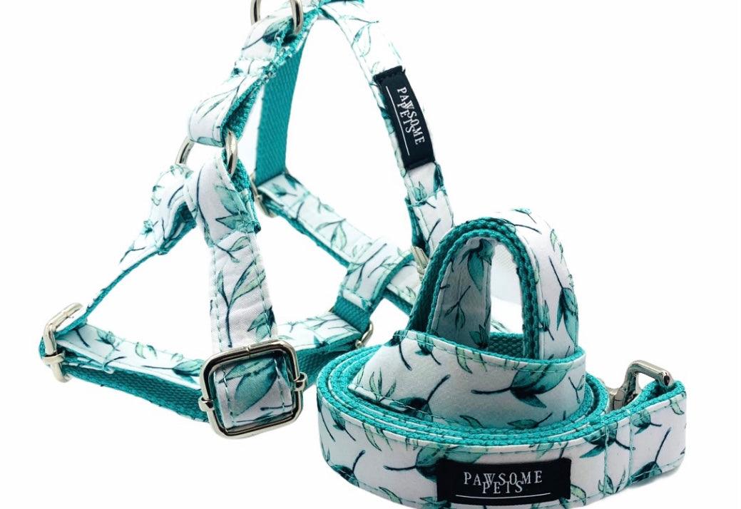 Step In Bundle Mint Leaf 2 Pieces Dog Harness and Leash Set-0