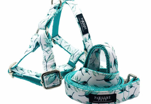 2 Pcs Step In Bundle Mint Leaf -0