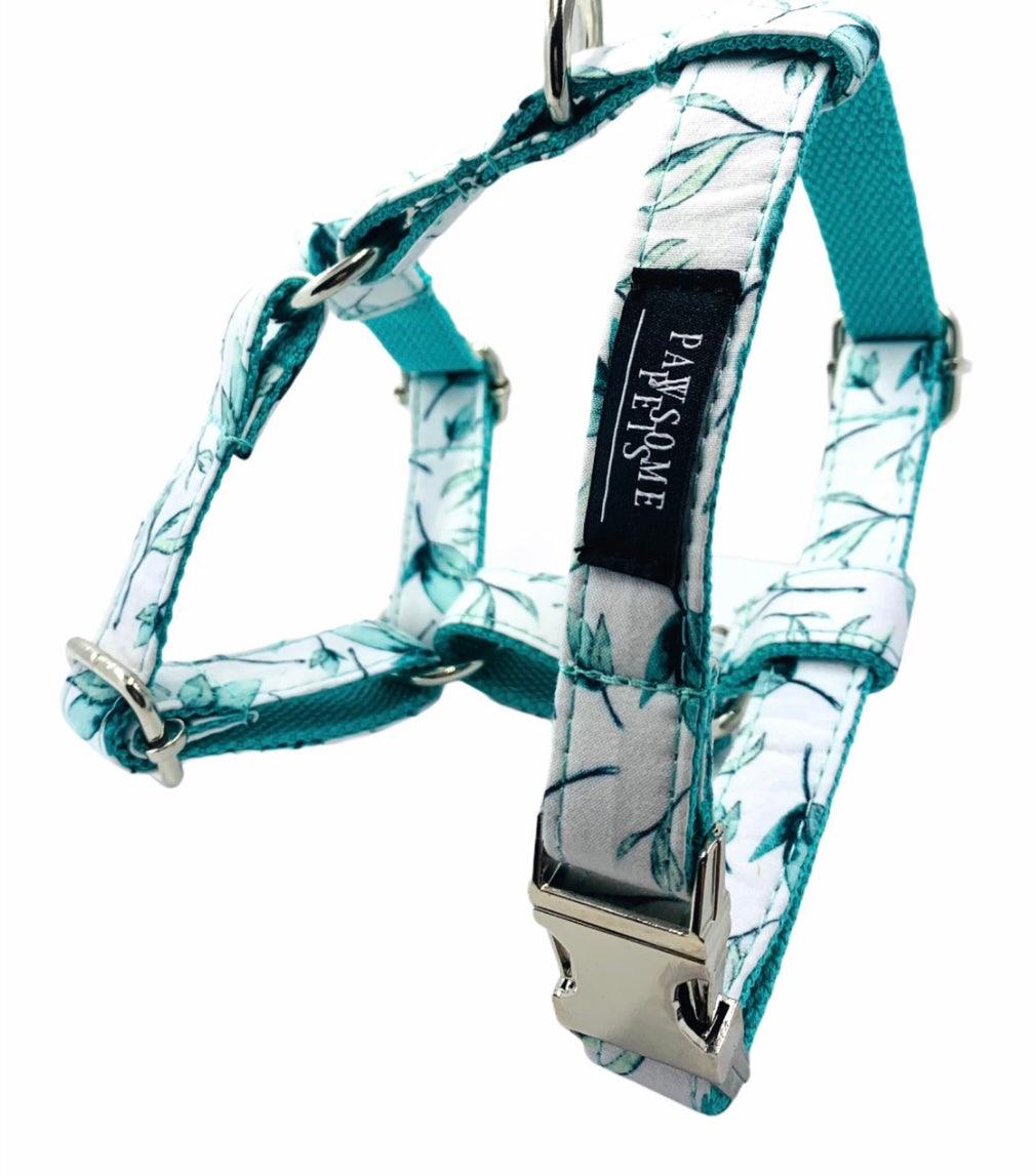 Step In Bundle Mint Leaf 2 Pieces Dog Harness and Leash Set-1
