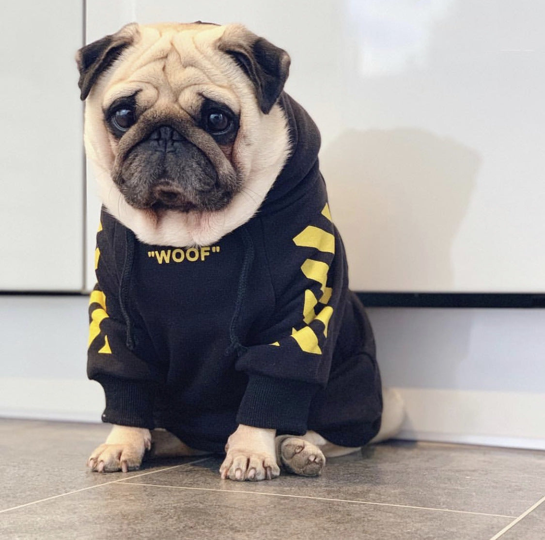Street Stripe Hooded Dog Sweatshirt