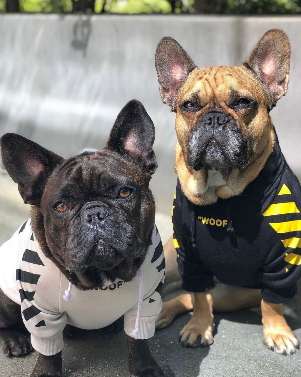 Street Stripe Hooded Dog Sweatshirt