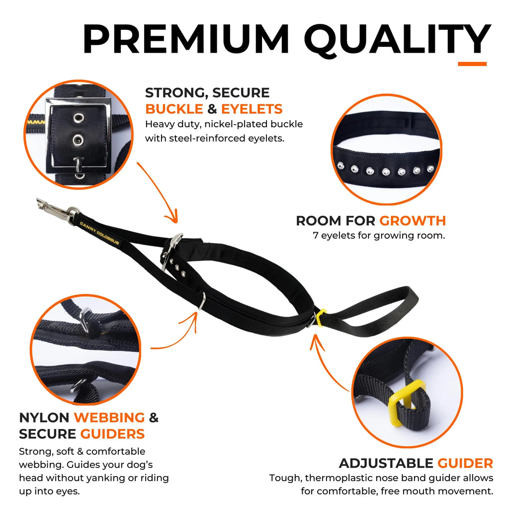 Canny Colossus No-Pull Dog Head Collar Gentle & Humane Leash Training Aid