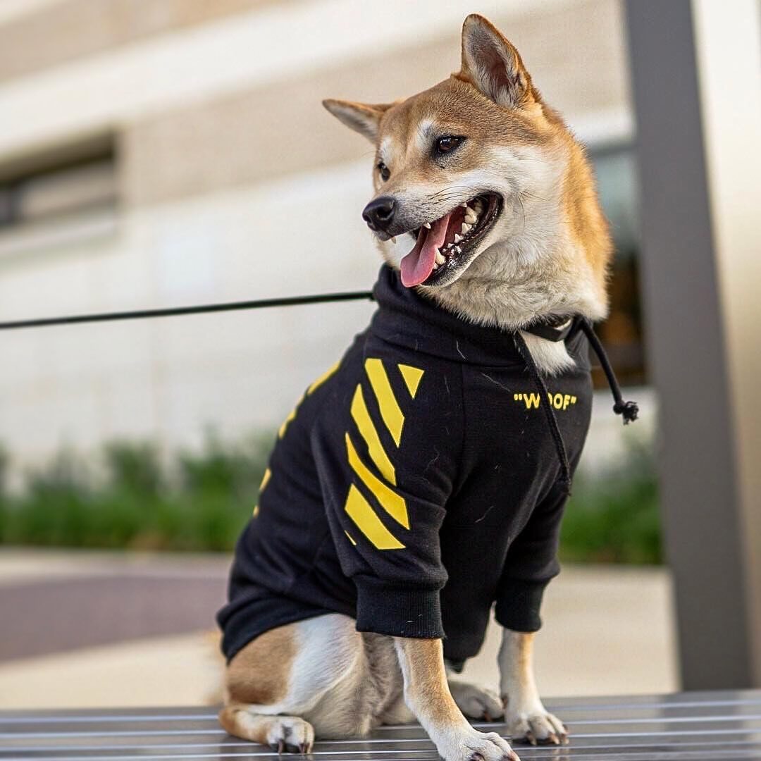 Street Stripe Hooded Dog Sweatshirt