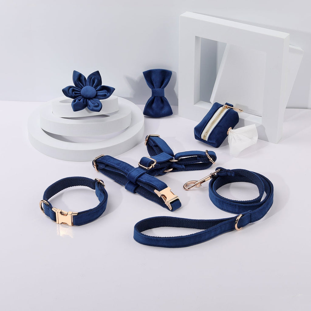 Step In Floral Bundle Royal Blue Dog Harness Collar Lead Set 6 Pieces-0