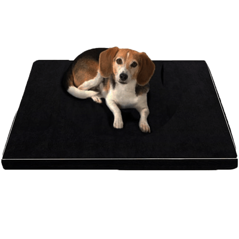 Luxorest Orthopedic Memory Foam Dog Bed for Large and Elderly Dogs