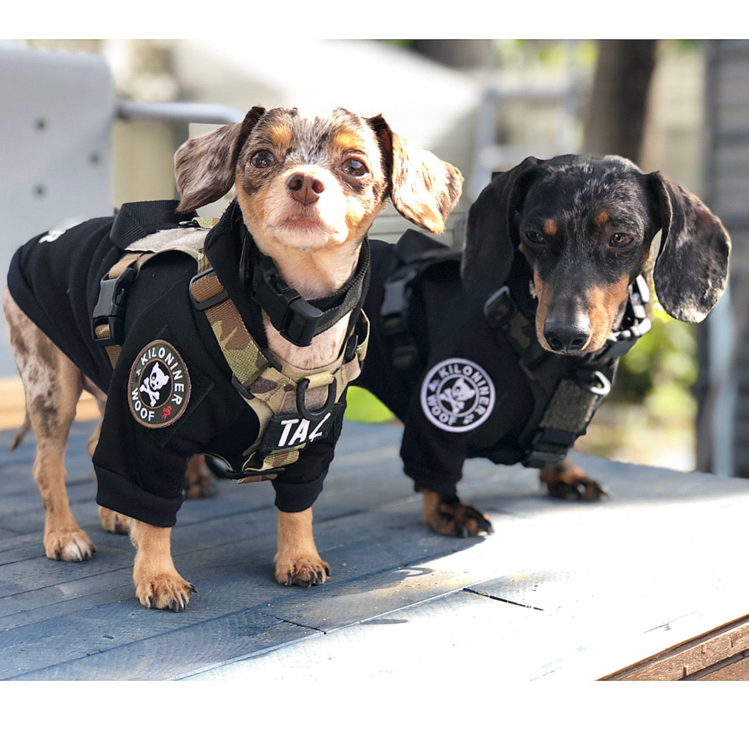 Adventure Ready Tactical Dog Hoodie