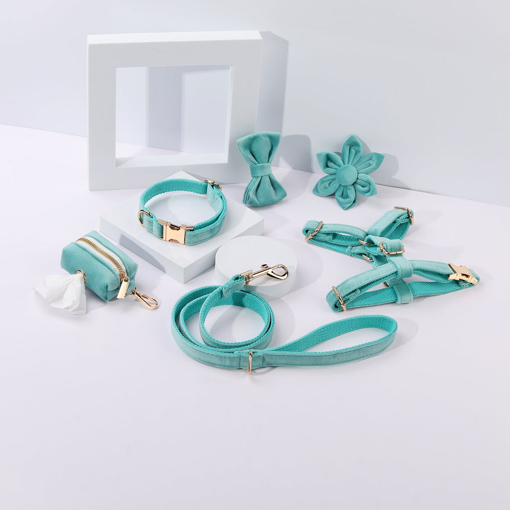 Step In Floral Bundle Ice Blue 6-Piece Dog Harness Collar Leash Set-0
