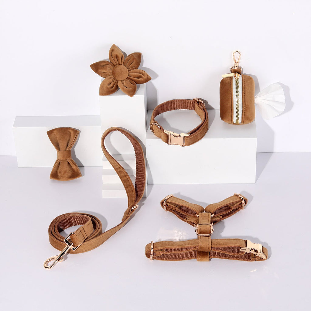 Step In Floral Bundle Brown 6-Piece Dog Harness Collar Leash Set-0