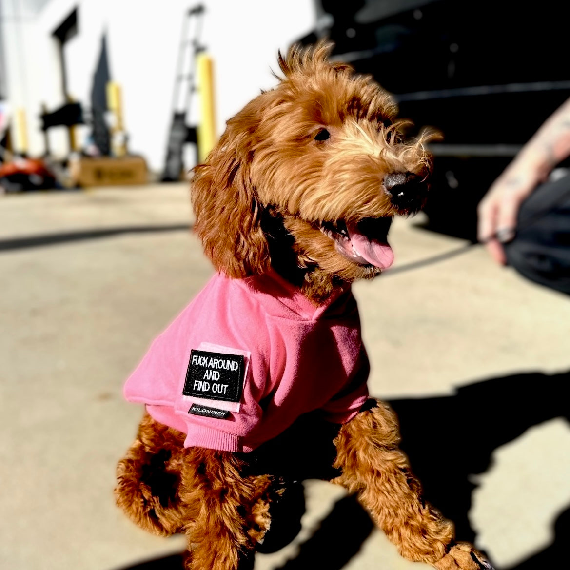 Adventure Ready Tactical Dog Hoodie