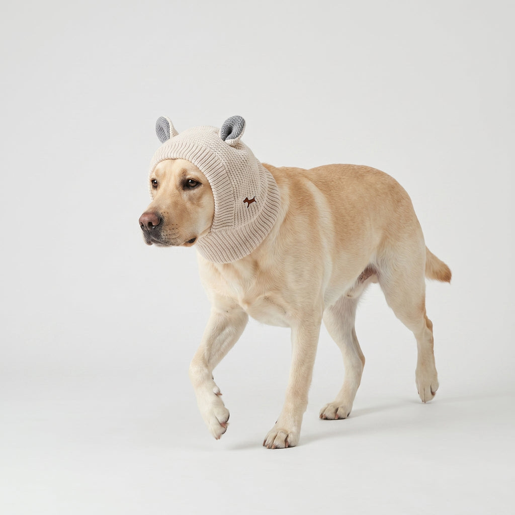 Bunny Business Knit Dog Hat