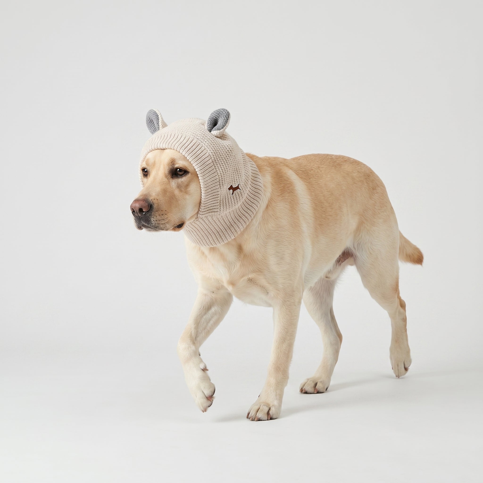 Bunny Business Knit Dog Hat