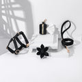 Pawsome Pets Step In Floral Bundle Black 4-Piece Dog Harness Set-0