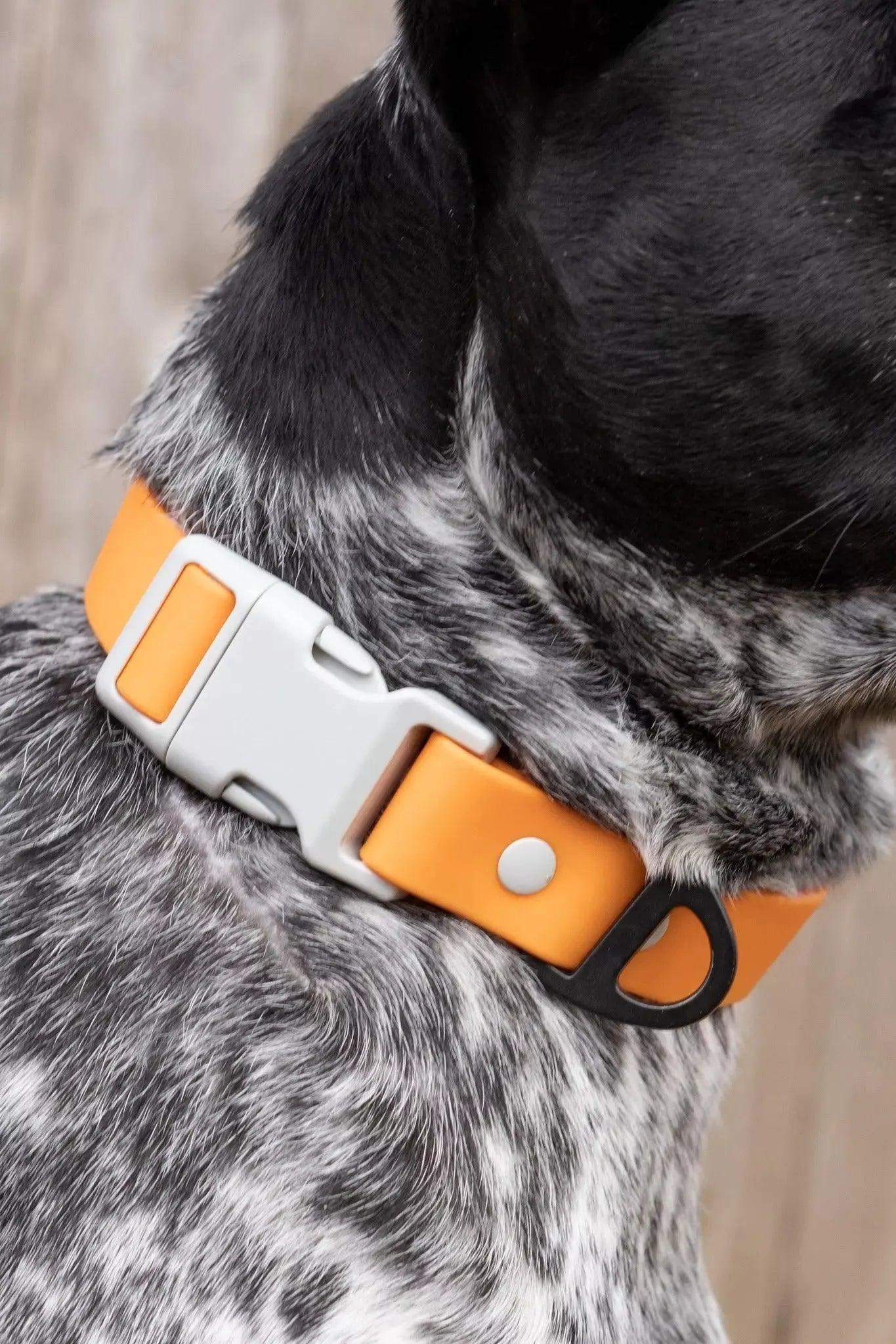 Crimson Glow Waterproof Dog Collar-1