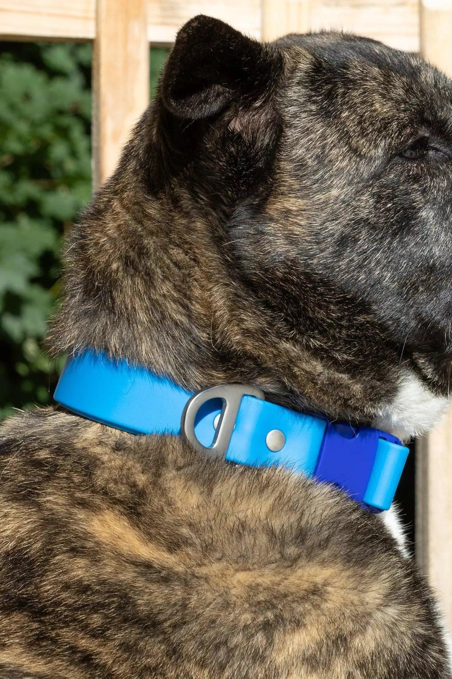 Dockside Adventures Waterproof Dog Collar-1