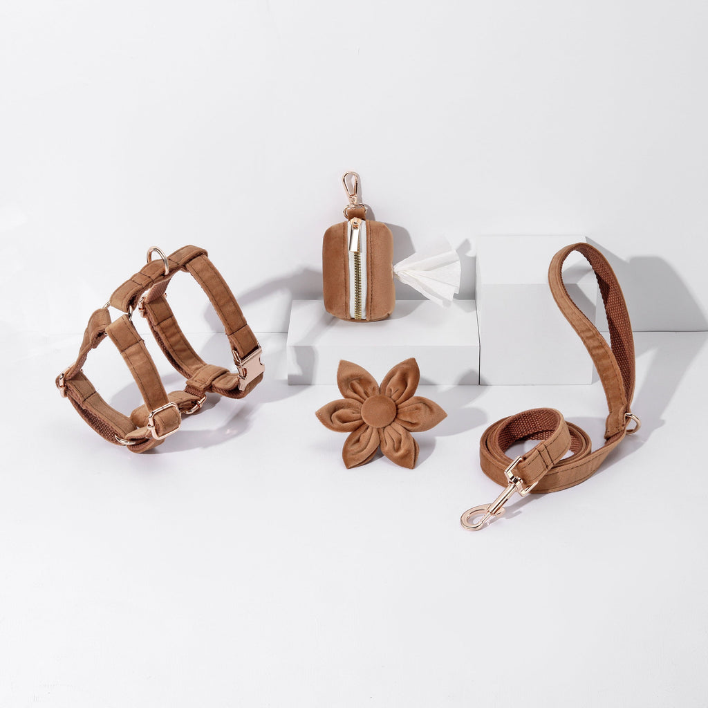 Step In Floral Dog Harness Collar Leash Bowtie Waste Bag Holder Brown Bundle-0