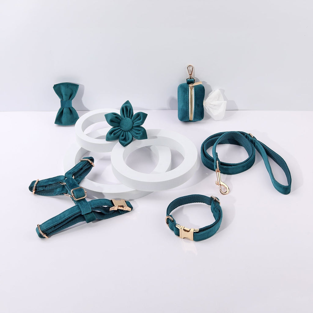 Step In Floral Bundle Peacock Blue Dog Harness Collar Lead Set-0