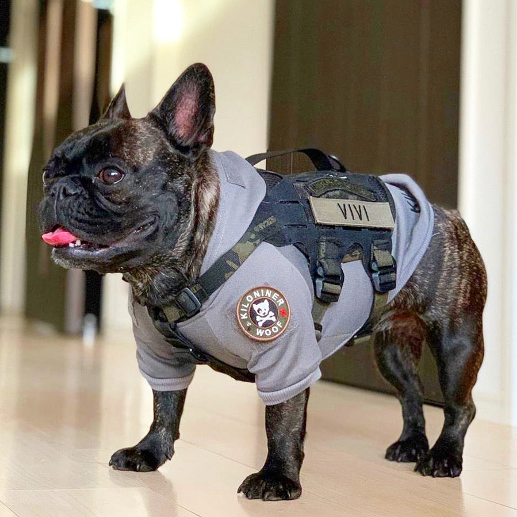 Adventure Ready Tactical Dog Hoodie