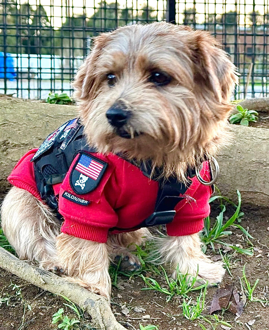 Adventure Ready Tactical Dog Hoodie