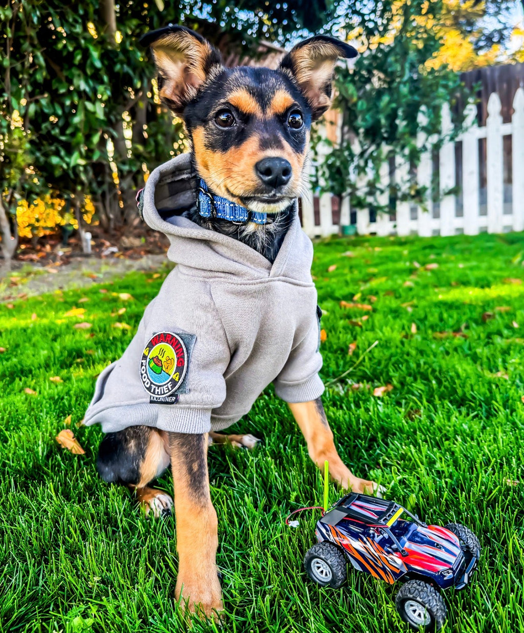 Adventure Ready Tactical Dog Hoodie