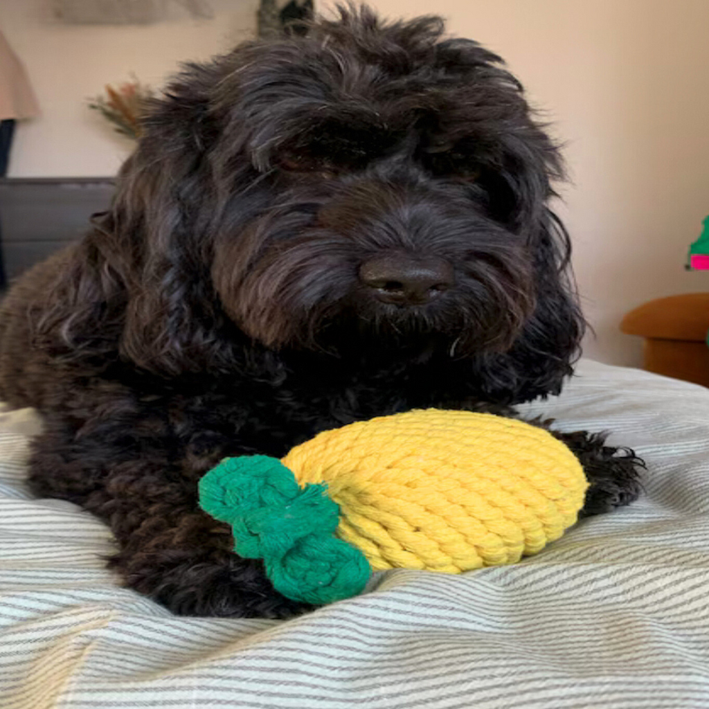 Monli Large Pineapple Rope Toy-2