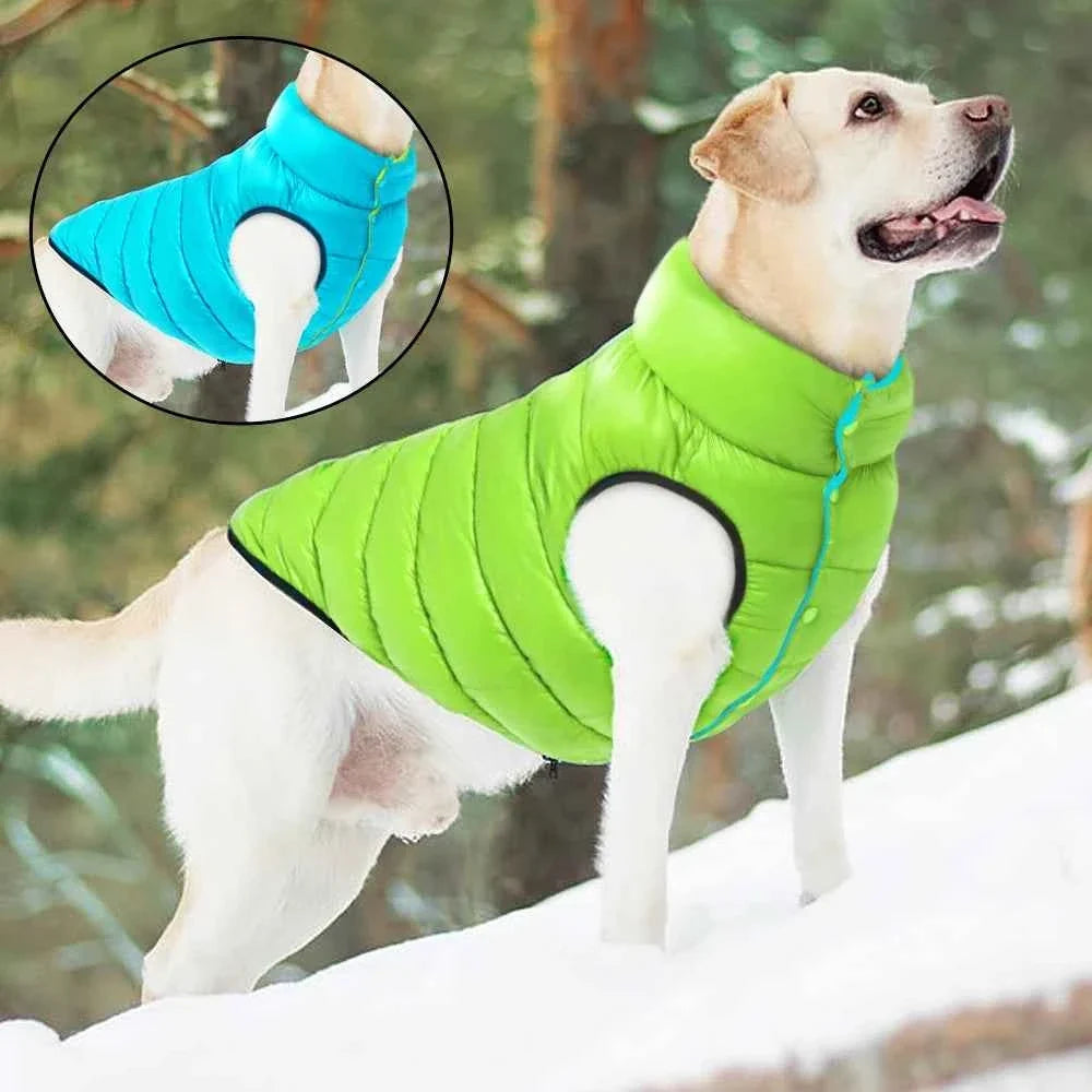 ❄️ Trailblazer Reversible Puffer Dog Jacket