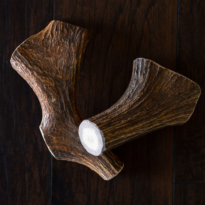 Mammoth Moose Antler Chew-0