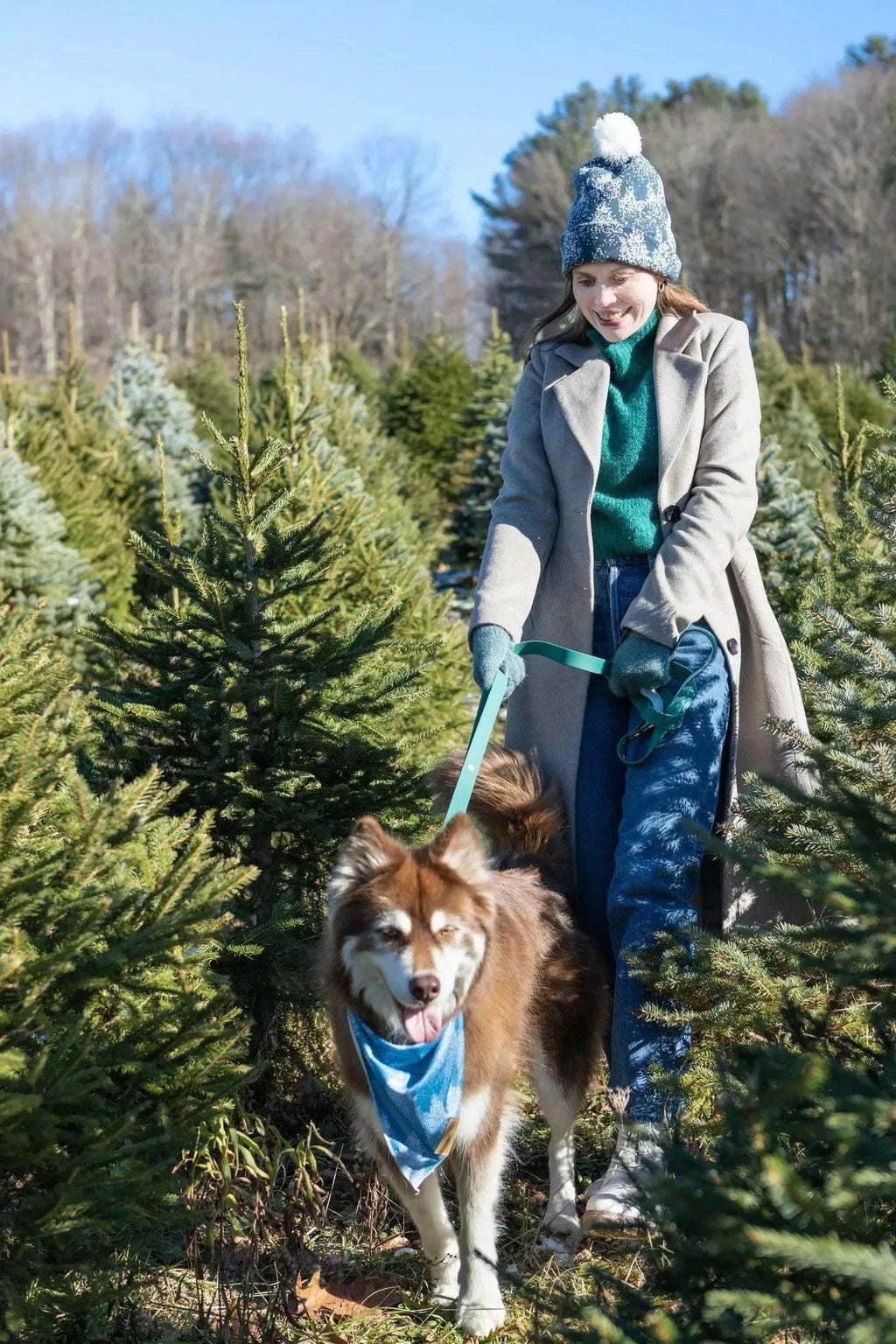 Siberian Spruce Waterproof Dog Collar-3