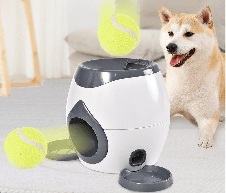 Automatic Pet Training and Feeding System for Cats and Dogs-0