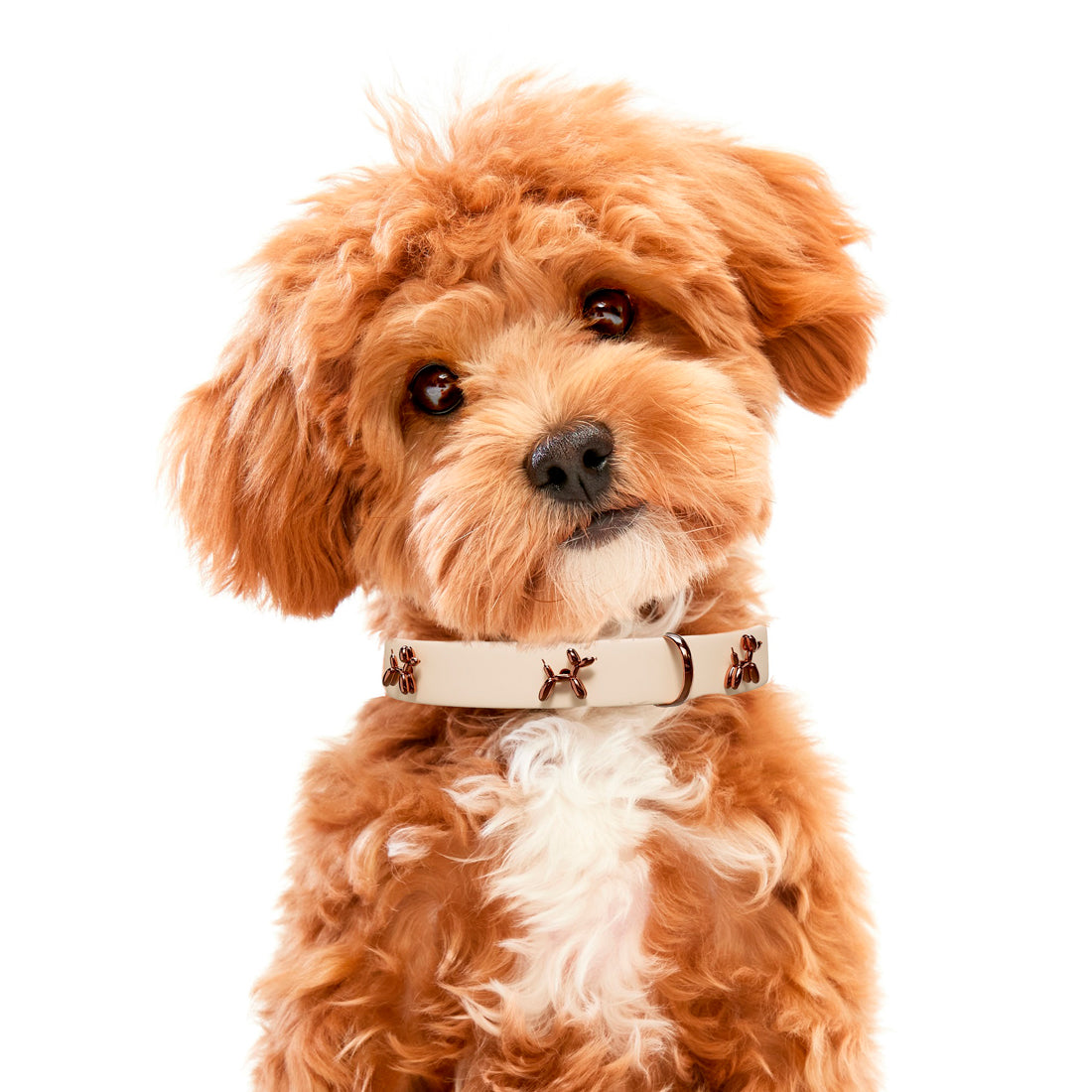 Ballon Beige Dog Collar by SANDDOG Premium Comfortable Adjustable Collar
