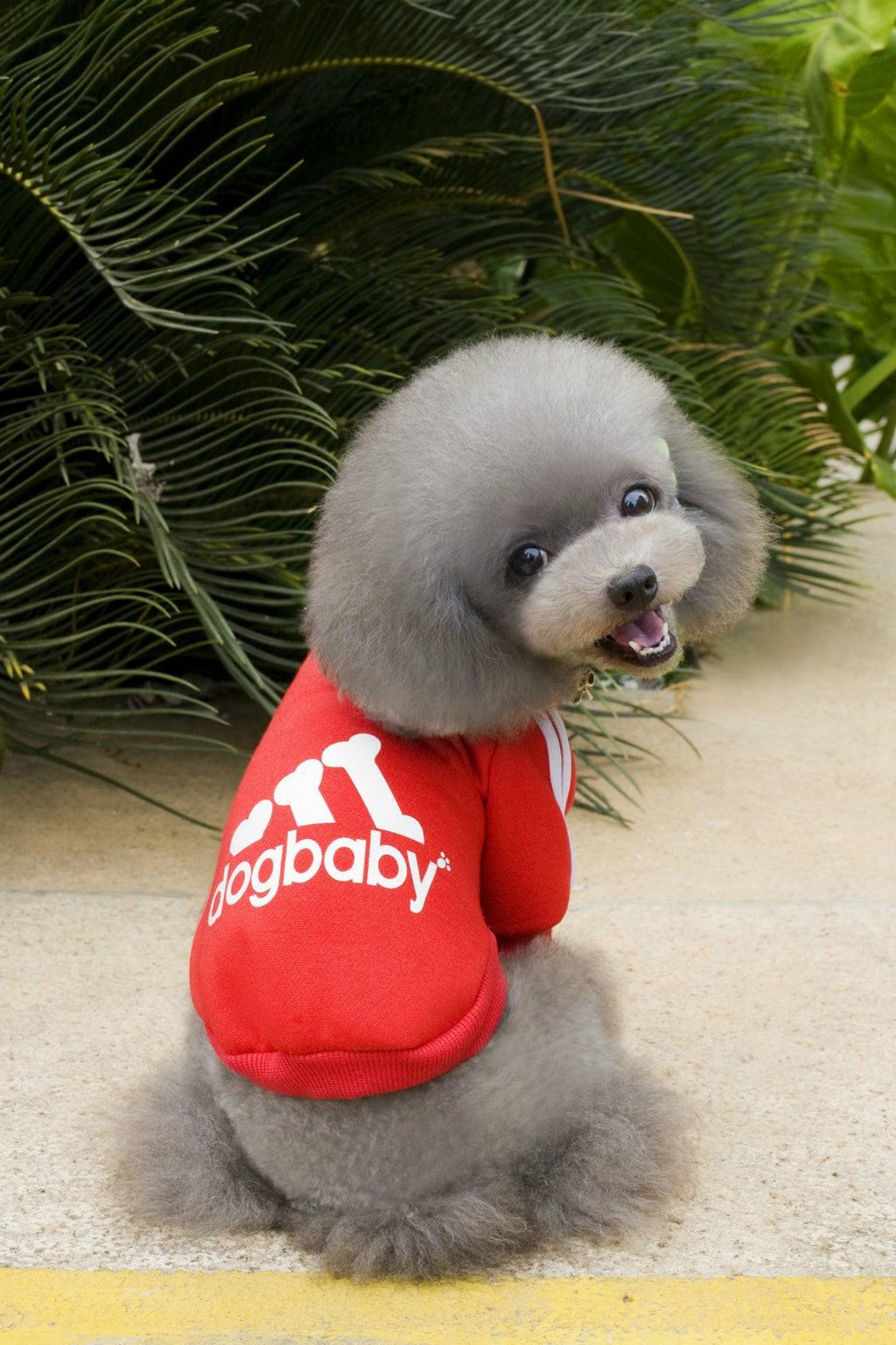 Cozy Canine Couture: Stylish Pet Hoodies For Small Dogs And Cats-3