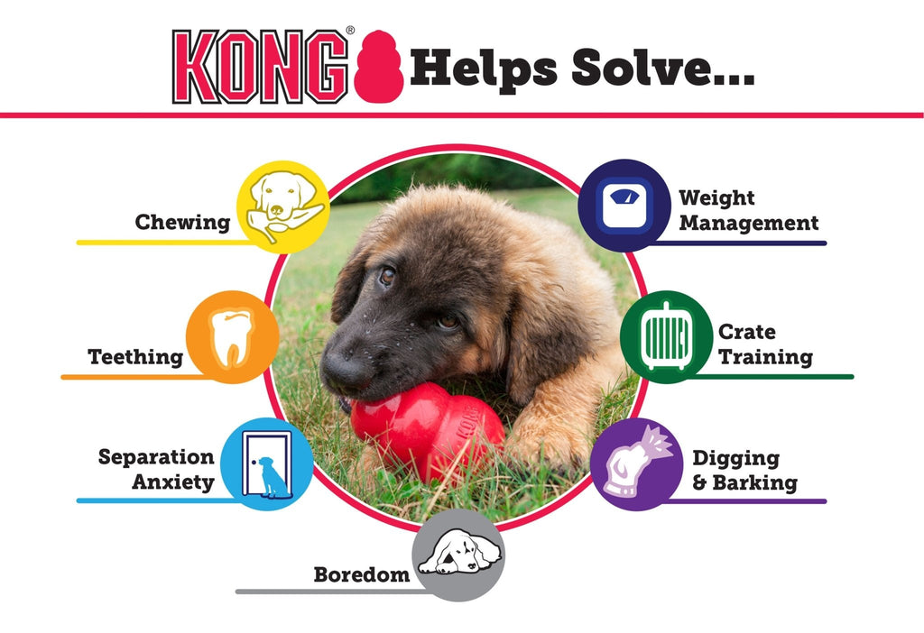 KONG Extreme Treat-Stuffing Dog Toy for Power Chewers