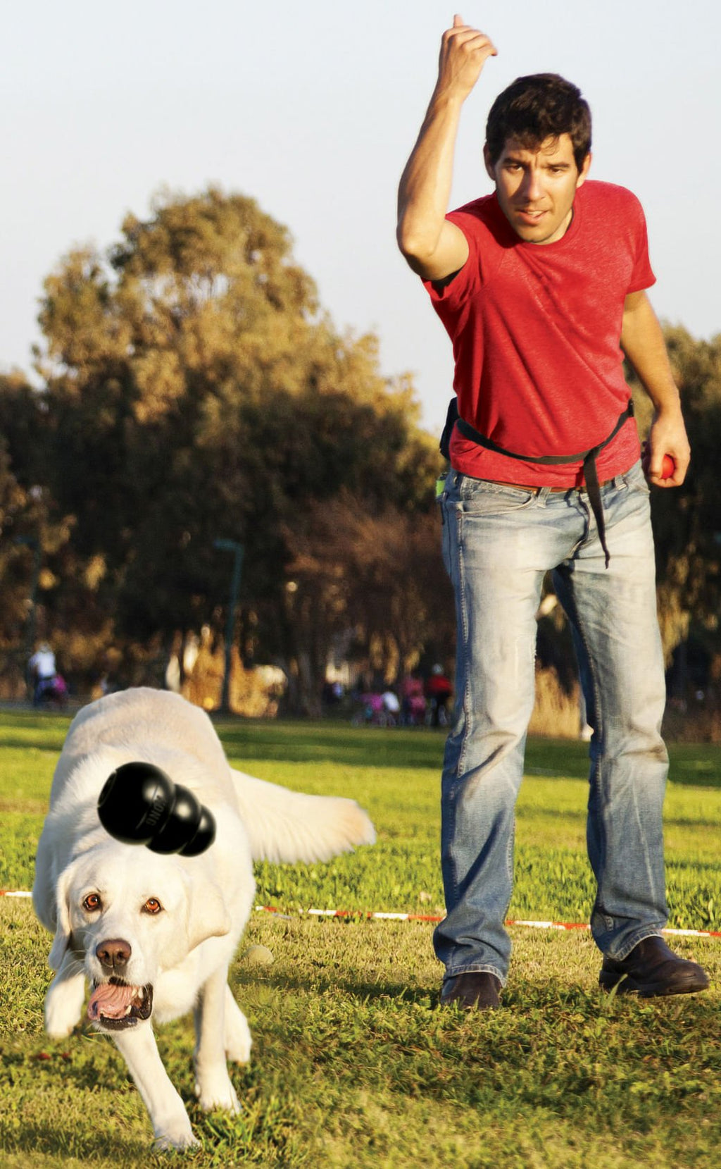 KONG Extreme Treat-Stuffing Dog Toy for Power Chewers