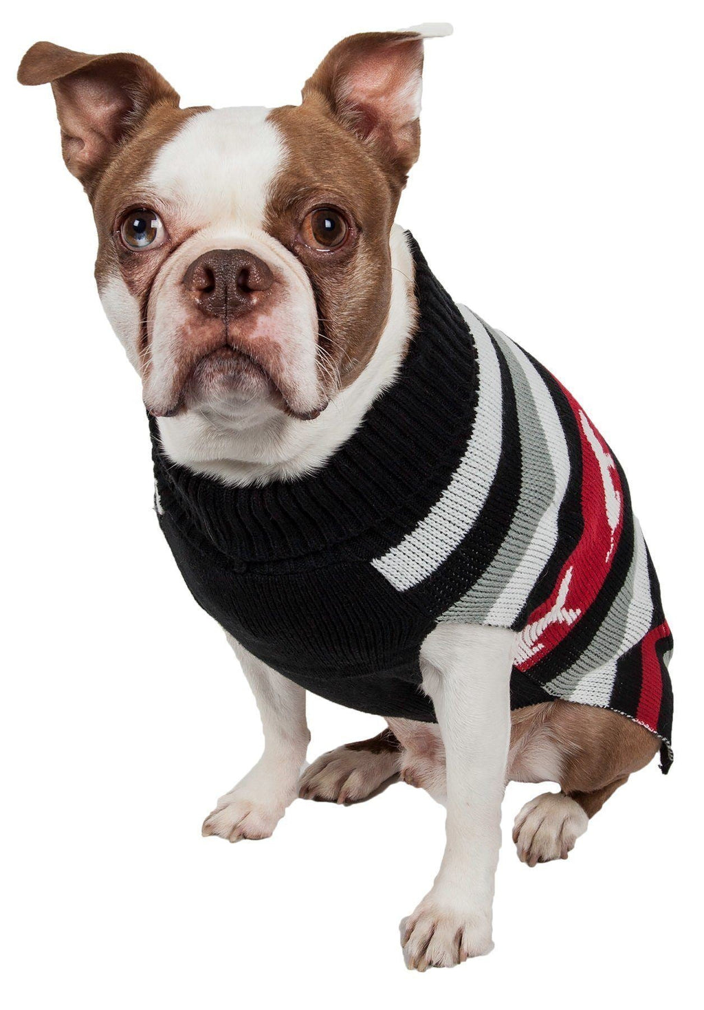Dog Patterned Stripe Turtleneck Sweater