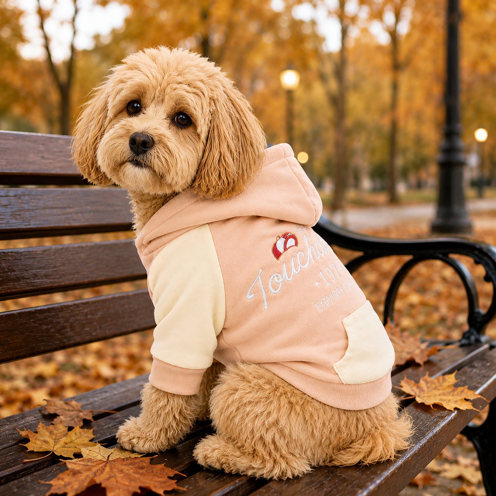 Heritage Soft-Cotton Fleece Dog Hoodie