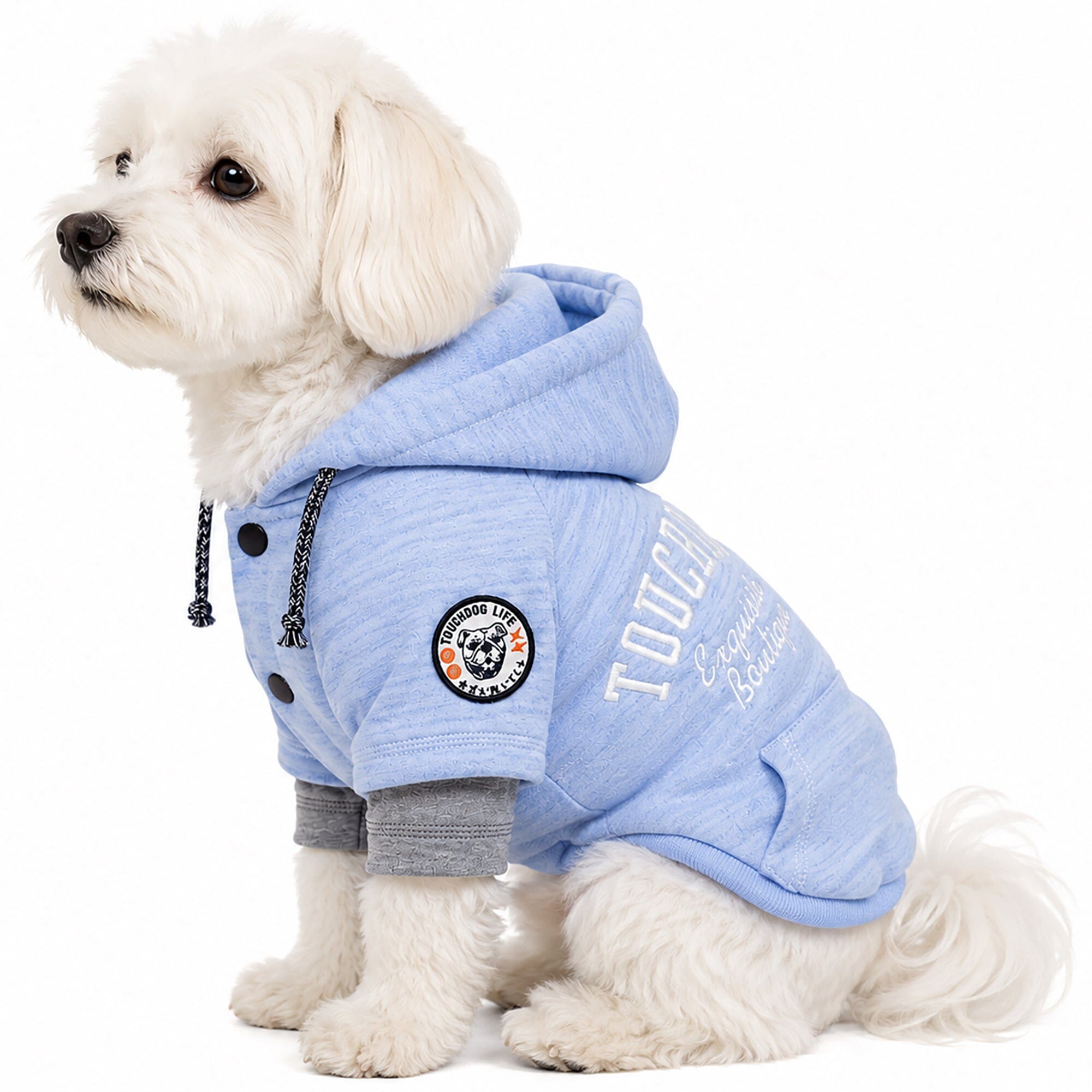 Hampton Beach Ultra-Soft Hooded Dog Sweater