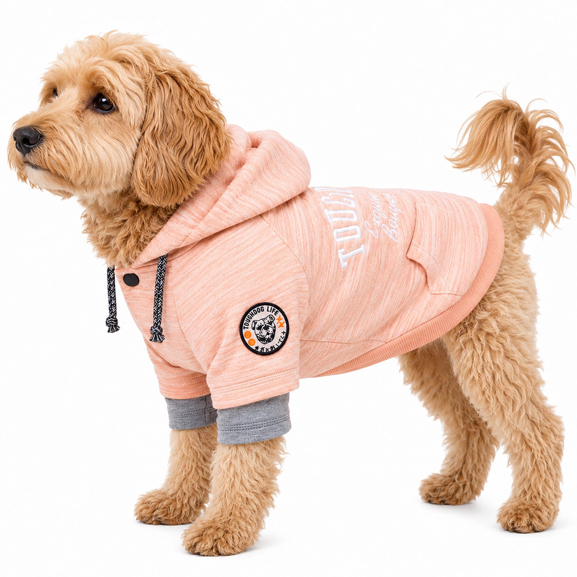 Hampton Beach Ultra-Soft Hooded Dog Sweater