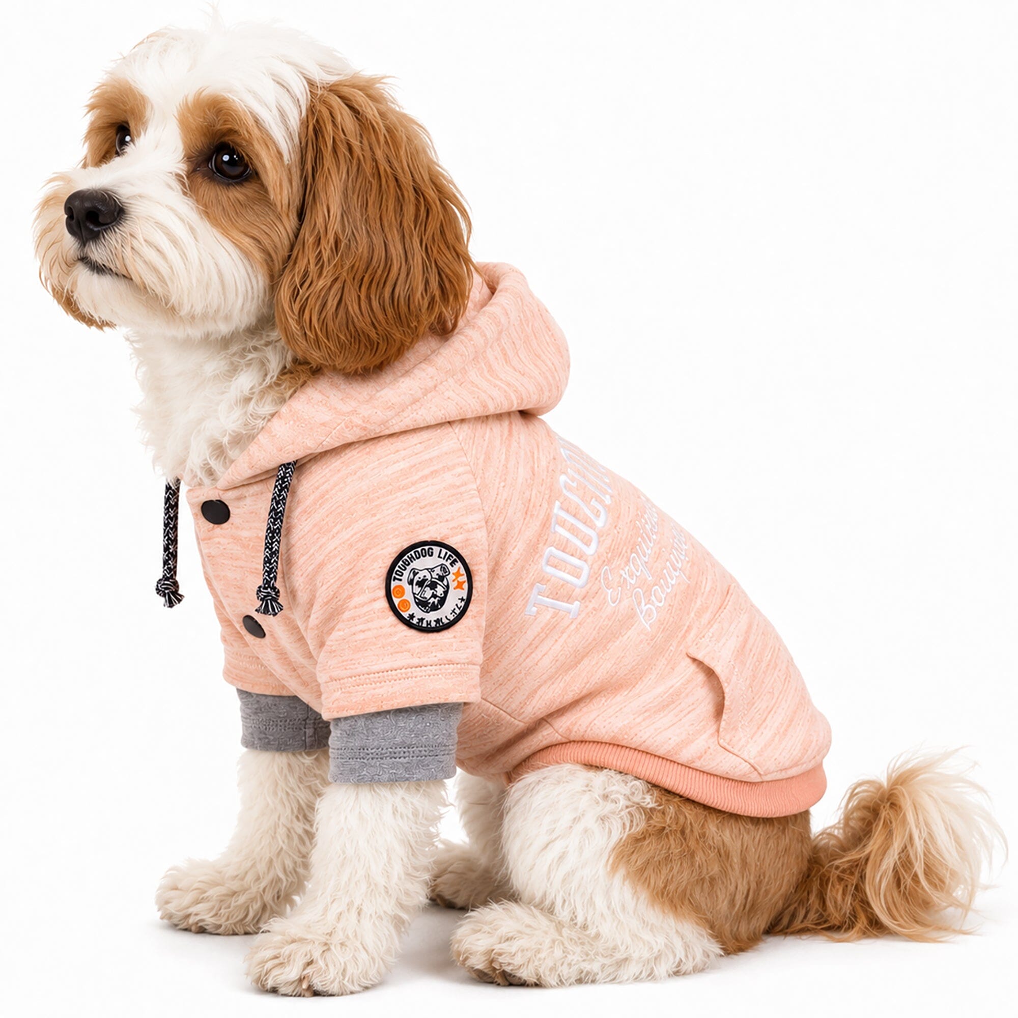 Hampton Beach Ultra-Soft Hooded Dog Sweater