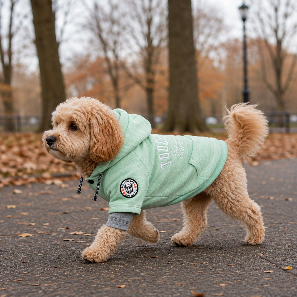Hampton Beach Ultra-Soft Hooded Dog Sweater